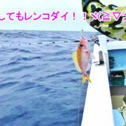 ＫＹＯＥＩⅢ 釣果