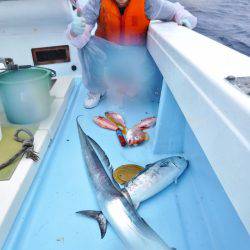 ＫＹＯＥＩⅢ 釣果