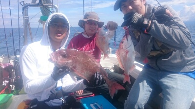 IDATEN(イダテン) 釣果