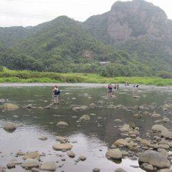狩野川（狩野川漁業協同組合） 釣果