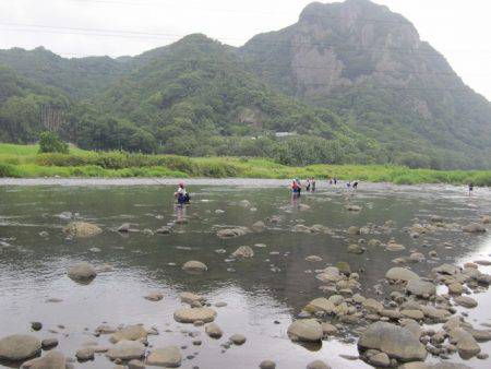 狩野川（狩野川漁業協同組合） 釣果