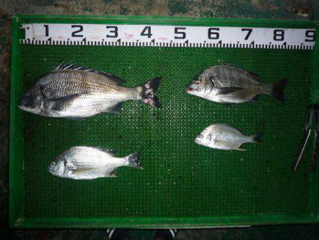 海山フィッシングセンター 釣果