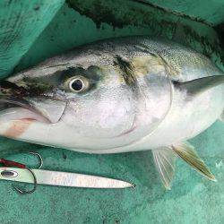 広進丸 釣果
