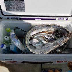 遊漁船　ニライカナイ 釣果