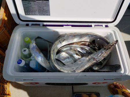 遊漁船　ニライカナイ 釣果