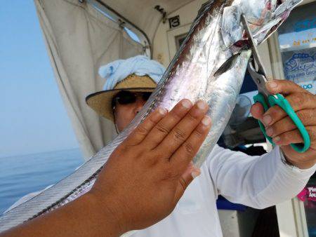 遊漁船　ニライカナイ 釣果