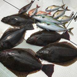 ふじしめ丸 釣果