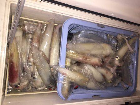 幸風（さちかぜ） 釣果