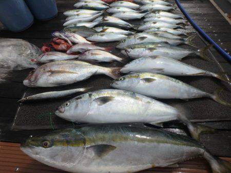 美里丸 釣果