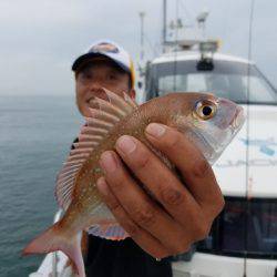 遊漁船　ニライカナイ 釣果