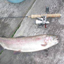 高萩ふれあいの里フィッシングエリア 釣果