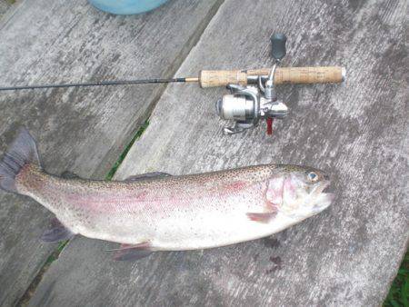 高萩ふれあいの里フィッシングエリア 釣果