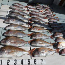 遊漁船 幸友丸 釣果