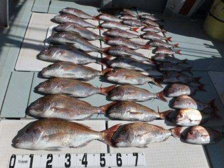 遊漁船 幸友丸 釣果