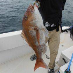 開進丸 釣果