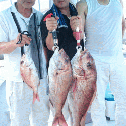 第二ゆず丸 釣果