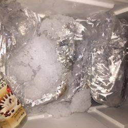 幸風（さちかぜ） 釣果