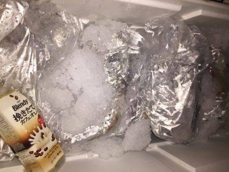 幸風（さちかぜ） 釣果