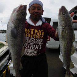 大進丸(新潟) 釣果