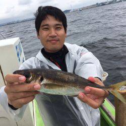 深川　吉野屋 釣果