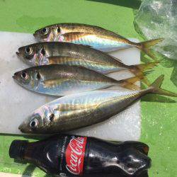 深川 吉野屋 釣果