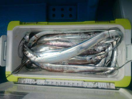 深川　吉野屋 釣果