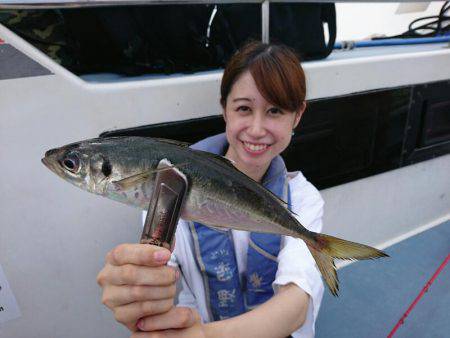 深川 吉野屋 釣果