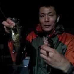 深川 吉野屋 釣果