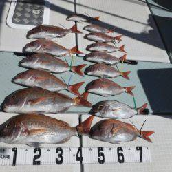 遊漁船 幸友丸 釣果