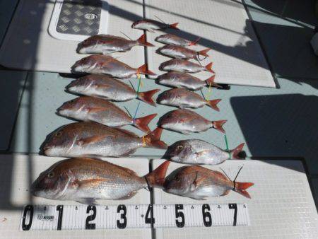 遊漁船 幸友丸 釣果