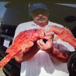 大進丸(新潟) 釣果