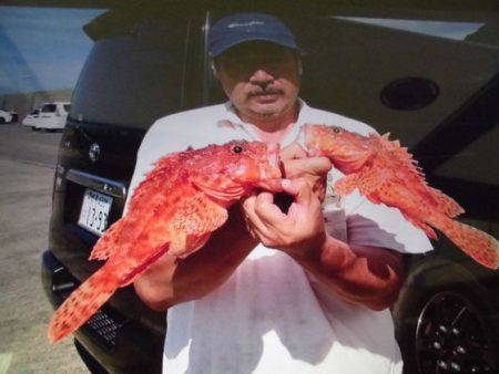 大進丸(新潟) 釣果