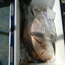 フィッシングガイド りょう 釣果