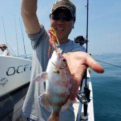 遊漁船　ニライカナイ 釣果