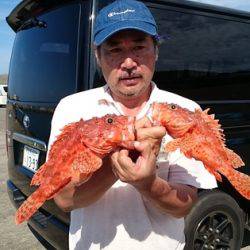 大進丸（新潟） 釣果