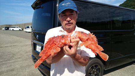 大進丸（新潟） 釣果