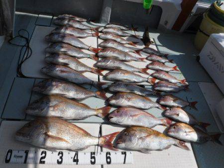 遊漁船 幸友丸 釣果