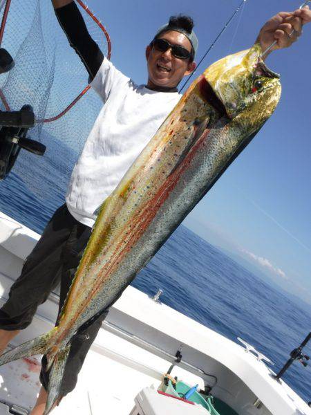 ＢｌｕｅＮｏｔｅ　Ｆｉｓｈｉｎｇ　Ｔａｘｉ…