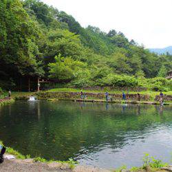 小菅トラウトガーデン 釣果