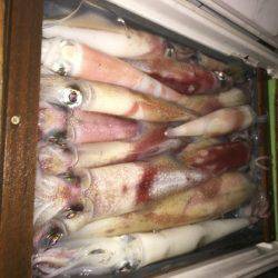 幸風（さちかぜ） 釣果