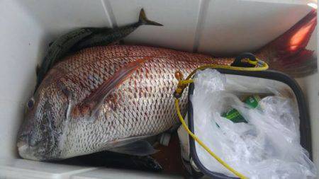 遊漁船 新鋭丸 釣果