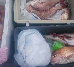 IDATEN（イダテン） 釣果