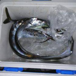 今日は当たりや！