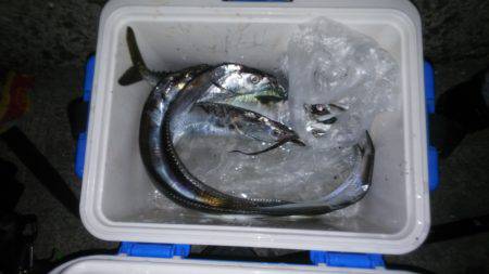 今日は当たりや！