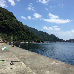 ヒラメゲット！