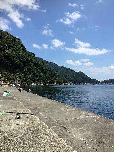 ヒラメゲット！