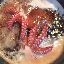 晩夏の五目釣り