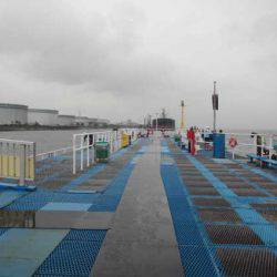 オリジナルメーカー海づり公園(市原市海づり施設) 釣果