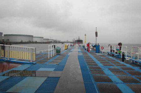 オリジナルメーカー海づり公園(市原市海づり施設) 釣果