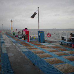 オリジナルメーカー海づり公園(市原市海づり施設) 釣果